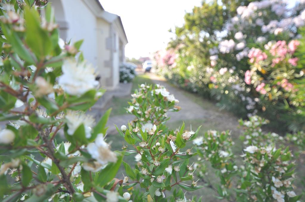 Villette Via Carbonia บูโดนี ภายนอก รูปภาพ